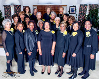 Pinochle Bugs, Charlotte Chapter, Jan-2016