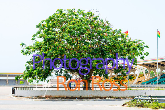 GHANA,2017_69