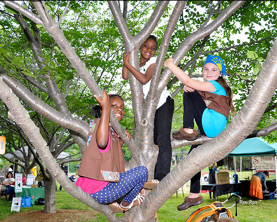 Wesley Heights Arbor Day Festival