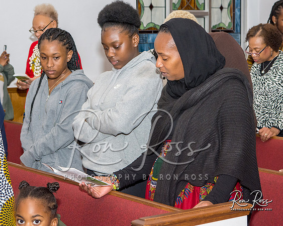 Imani 2019--21