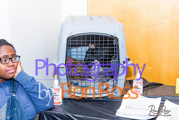 HealthSymposium 2018_014