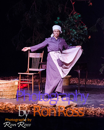Harriet's Return_20