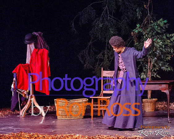 Harriet's Return_28