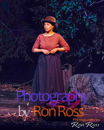 Harriet's Return_36