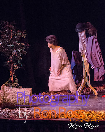 Harriet's Return_14