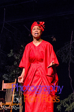 Harriet's Return_05