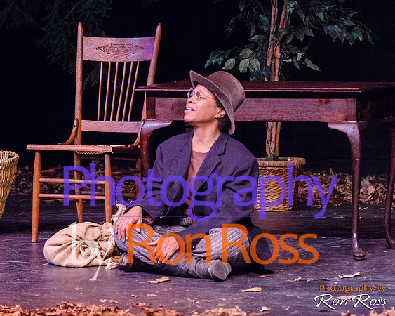 Harriet's Return_34