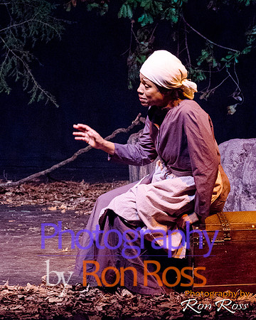 Harriet's Return_21