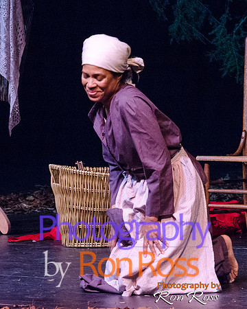Harriet's Return_25
