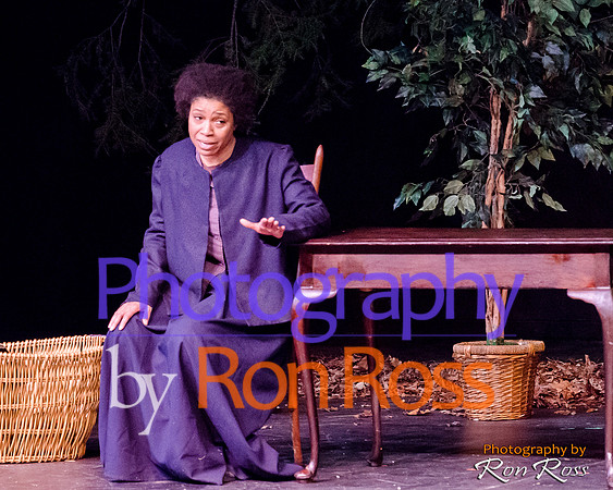 Harriet's Return_27