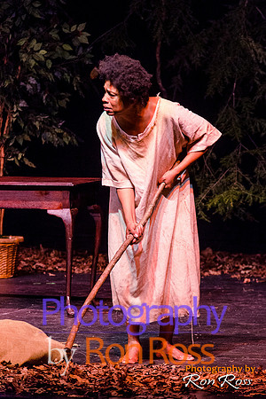 Harriet's Return_07