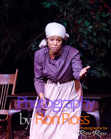 Harriet's Return_19