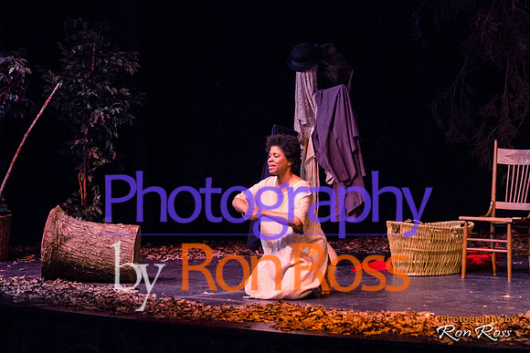 Harriet's Return_09