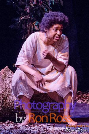 Harriet's Return_13
