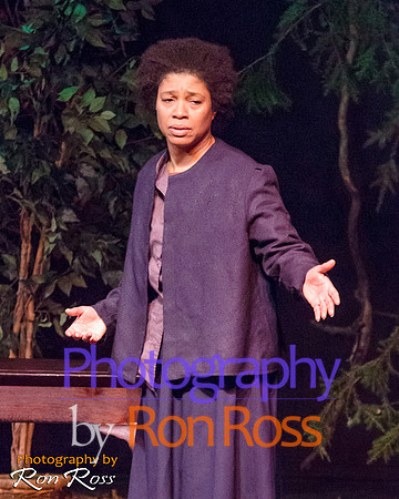 Harriet's Return_29