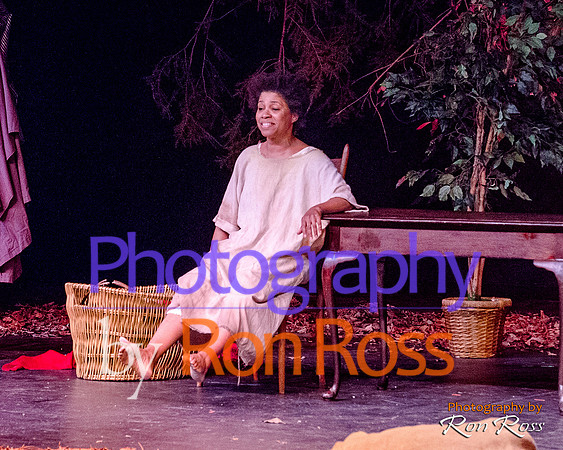 Harriet's Return_10