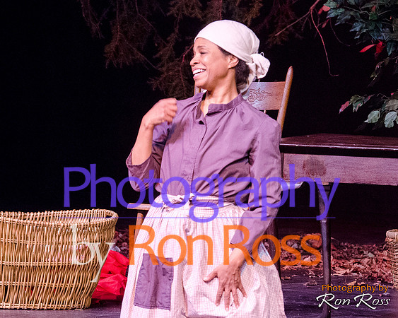Harriet's Return_22