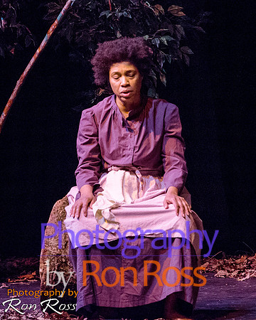Harriet's Return_17
