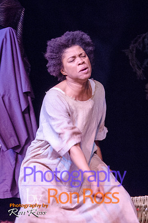Harriet's Return_12