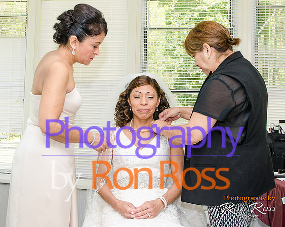 Rosa-Prep-23