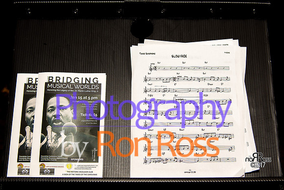 ASOTT MLK 2017_001