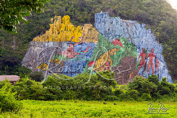 Cuba Trip_Aug 2019_118