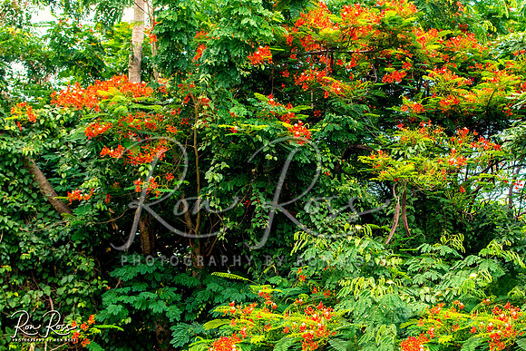Cuba Trip_Aug 2019_045