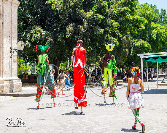 Cuba Trip_Aug 2019_023