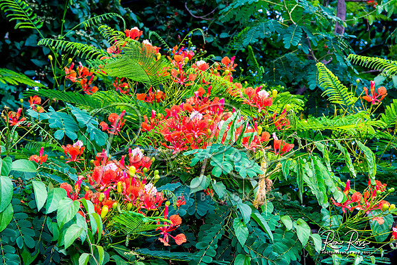 Cuba Trip_Aug 2019_046