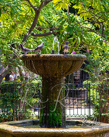 Cuba Trip_Aug 2019_028