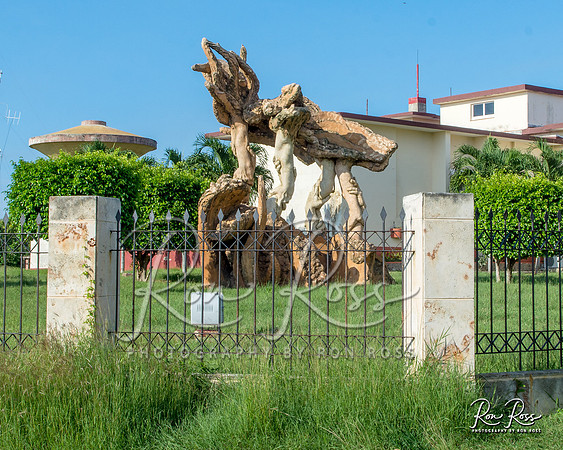 Cuba Trip_Aug 2019_096