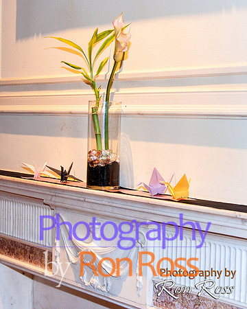 Elita's50th-Party_007