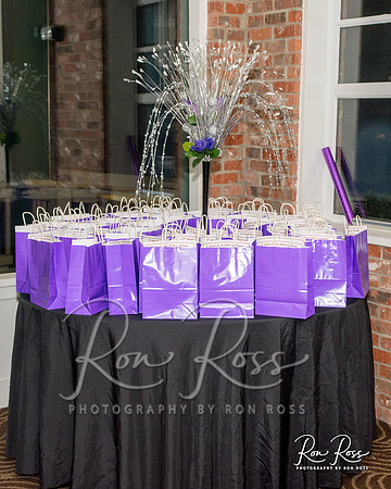CircleOfFriendsBall2_026