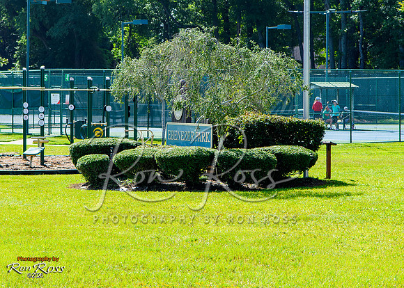 002-RossPicnic2026