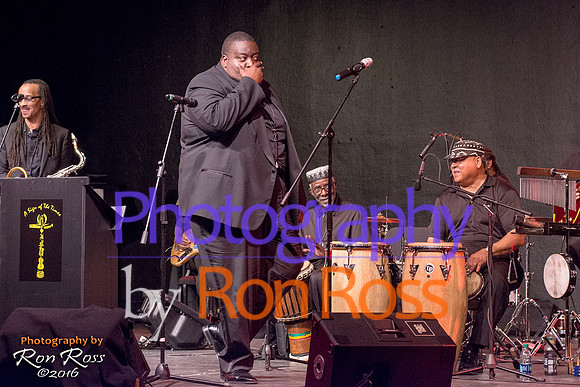 ASOTT BlkHst 16-042