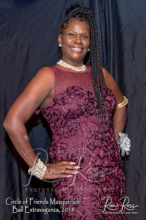 CircleOfFriendsBall2_017